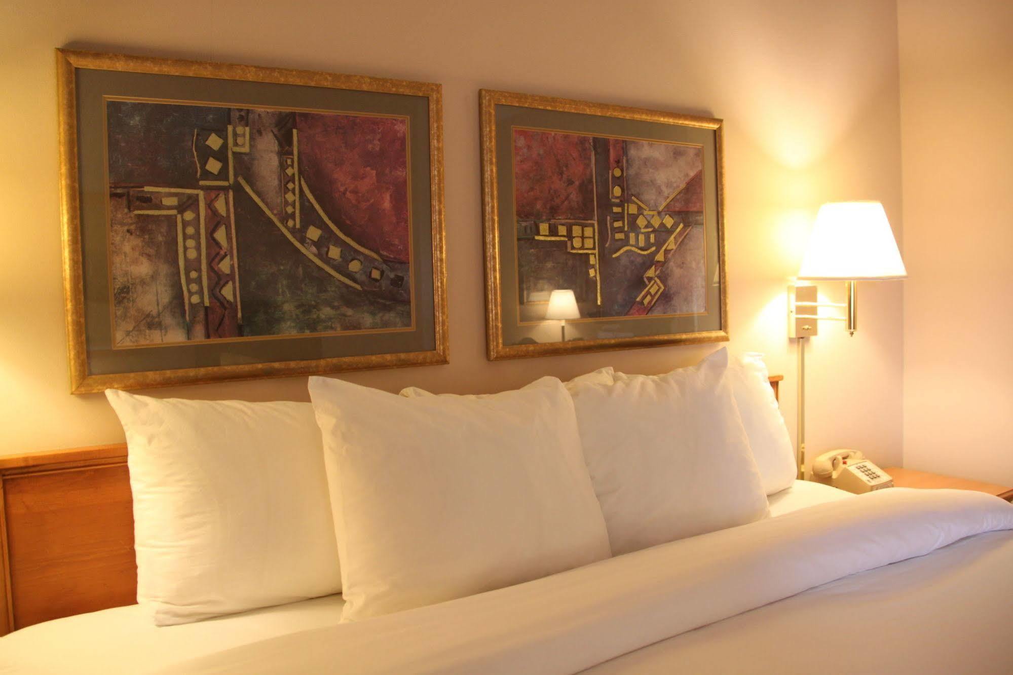 Holiday Inn Express - Canton By Ihg Екстер'єр фото